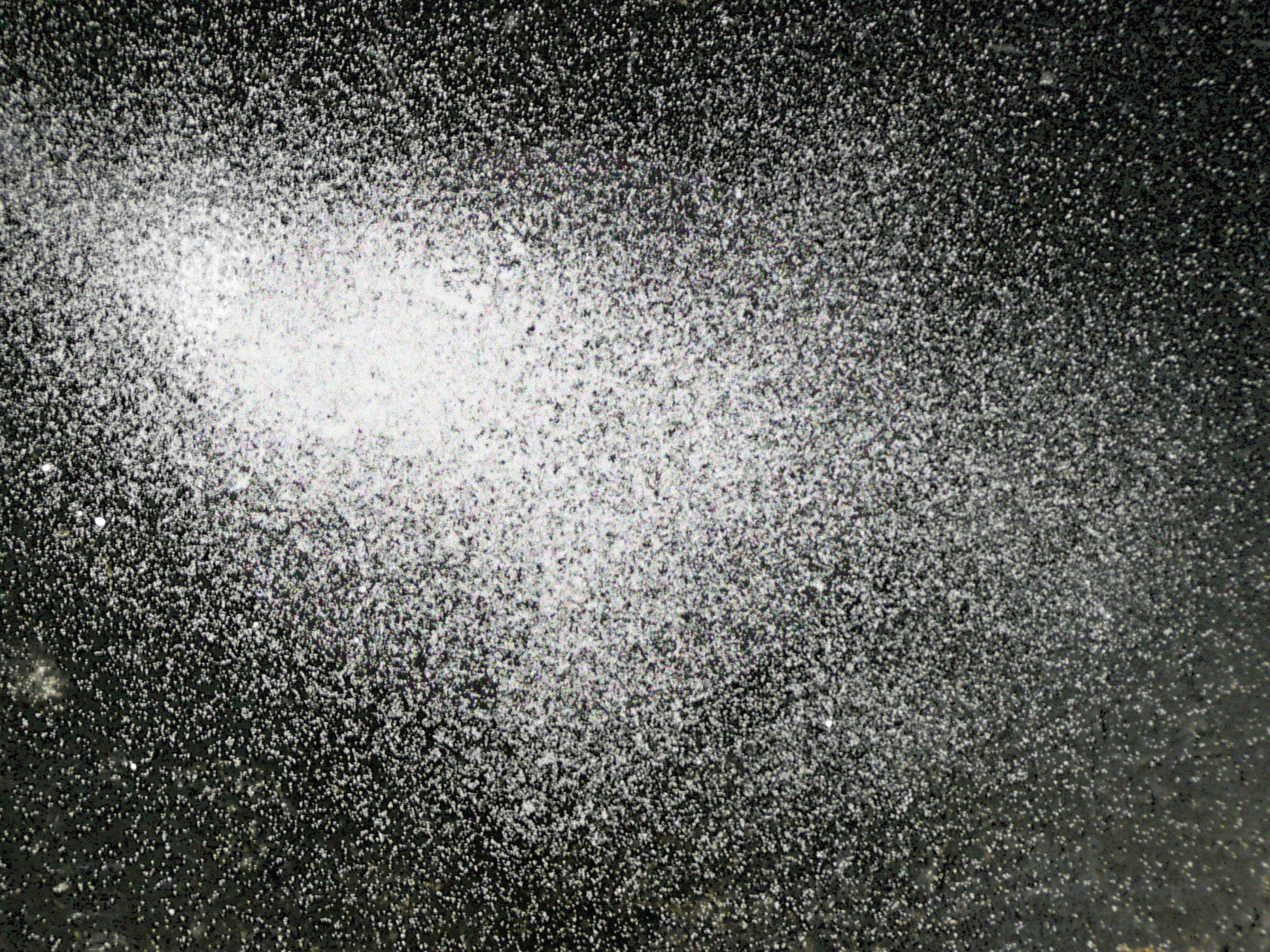 Installation View of Lael Corbin: Greetings from Earth