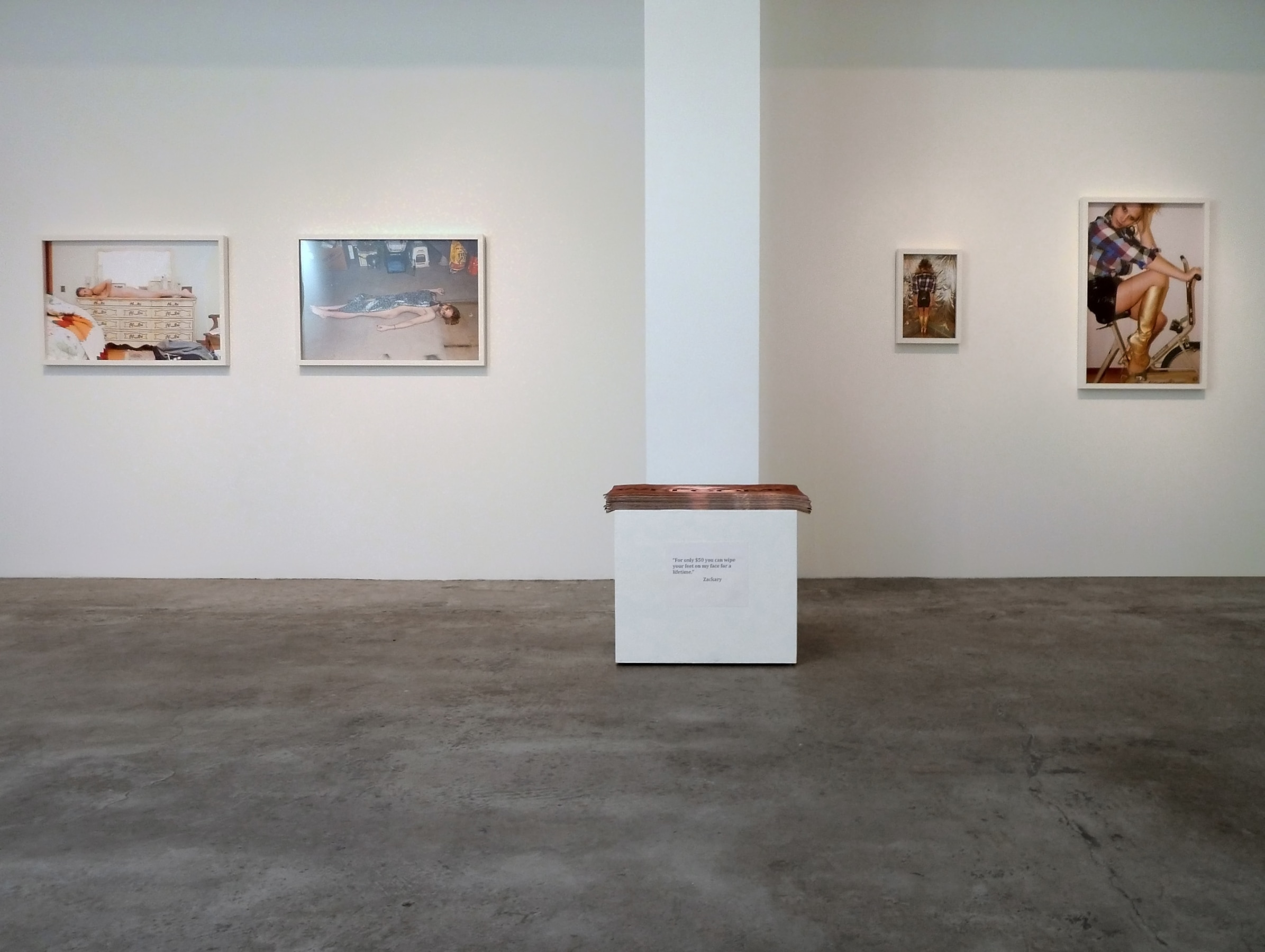 Installation View of Zackary Drucker and Amos Mac: Distance is where your heart is, home is where you hang your heart​