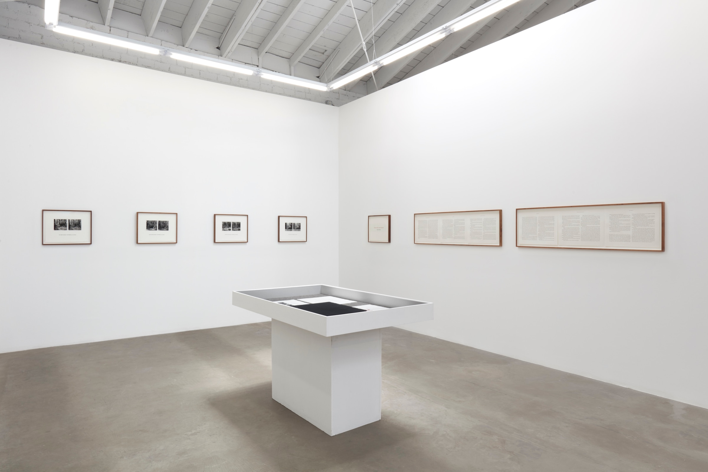 Installation view of Susan Silton: WE_Image 4