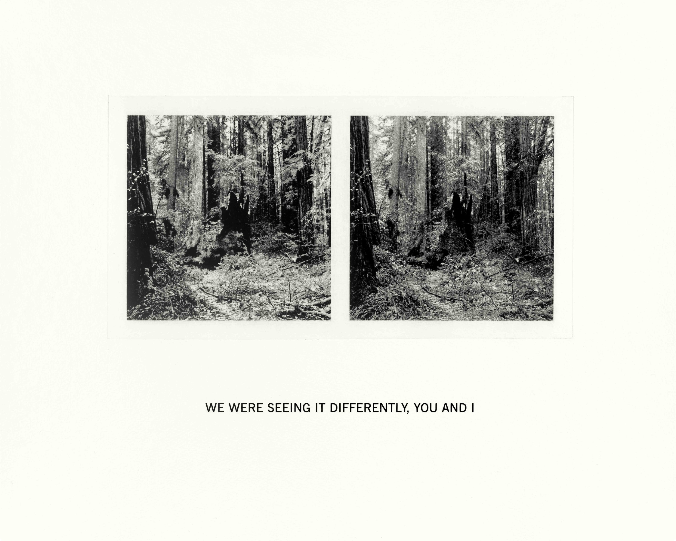 Susan Silton We Were Seeing It Differently, You and I