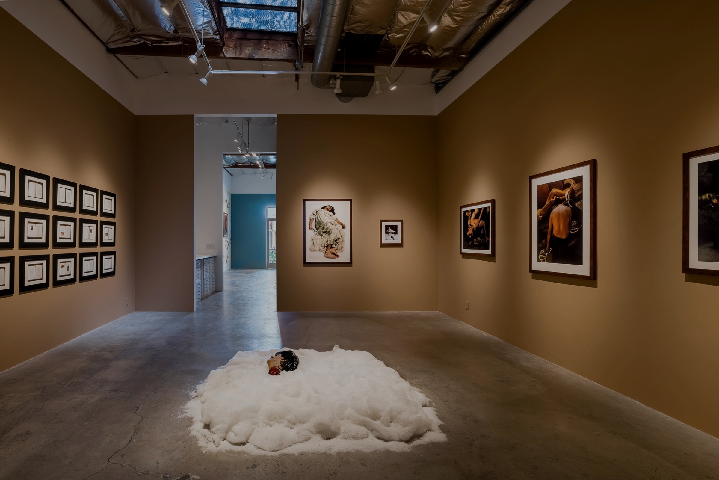 Installation View of&nbsp;Ken Gonzales-Day:&nbsp;Bone-Grass Boy: The Secret Banks of the Conejos River