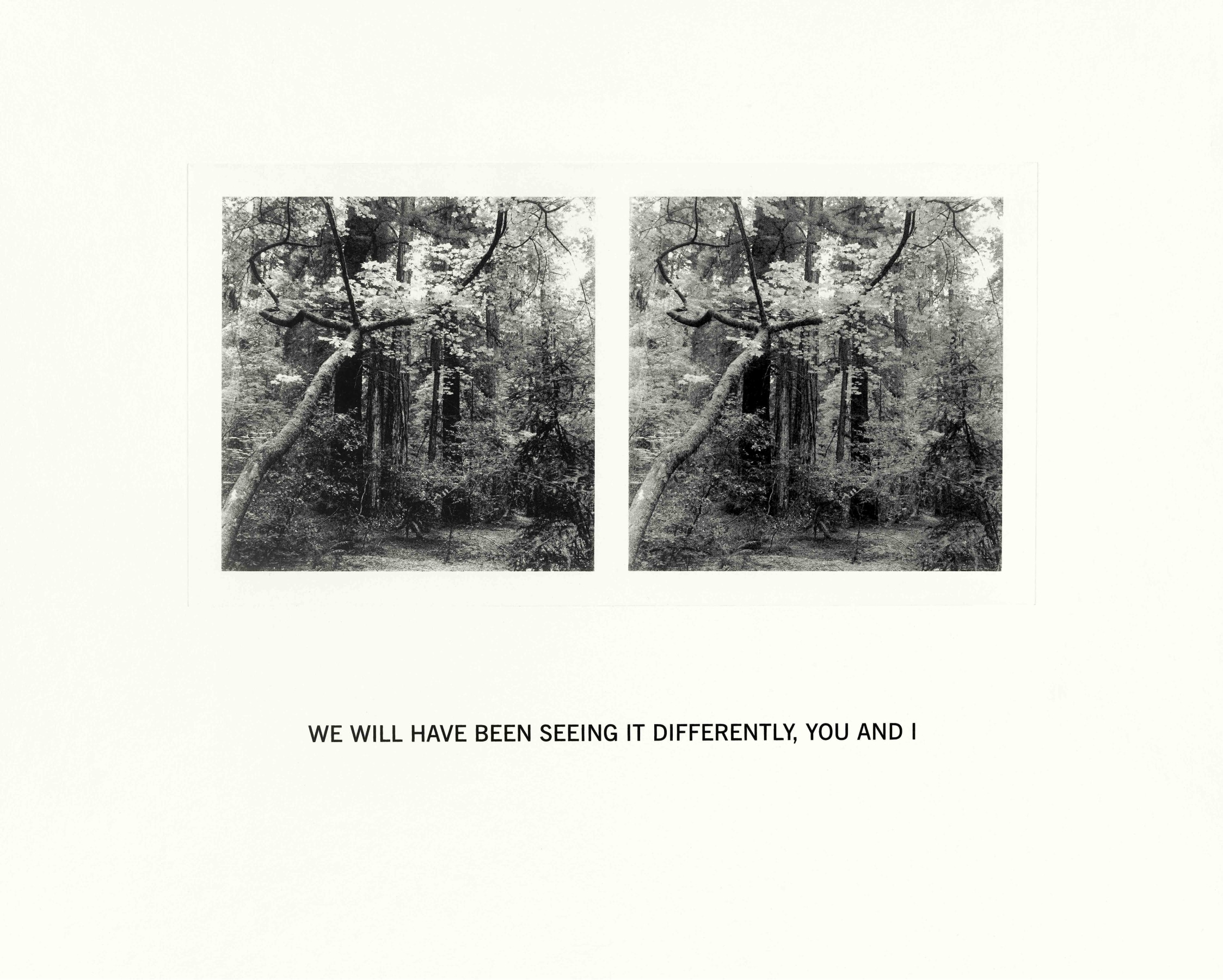 Susan Silton We Will Have Been Seeing It Differently, You and I, 2020