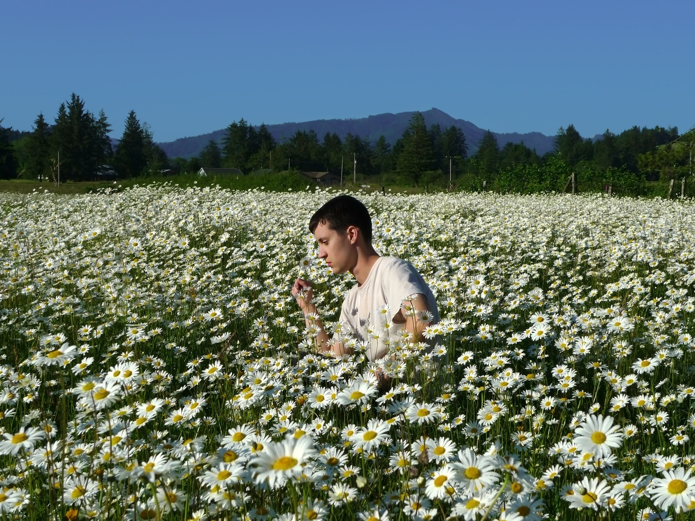 Zackary Drucker and Rhys Ernst, "Relationship, #18 (Daisies)," 2008-2014, Digital chromogenic print, 18 x 24 inches