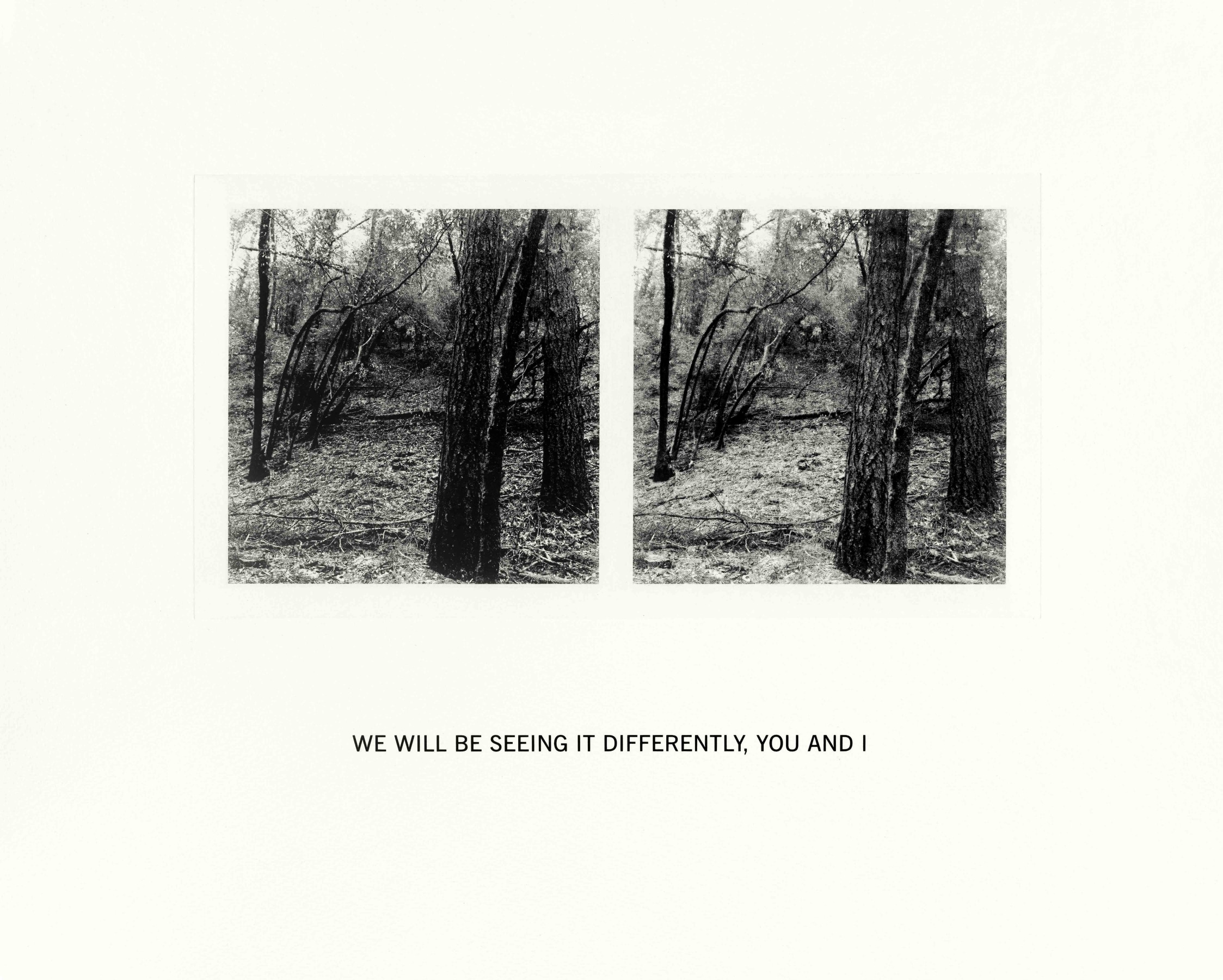 Susan Silton We Will Be Seeing It Differently, You and I, 2020