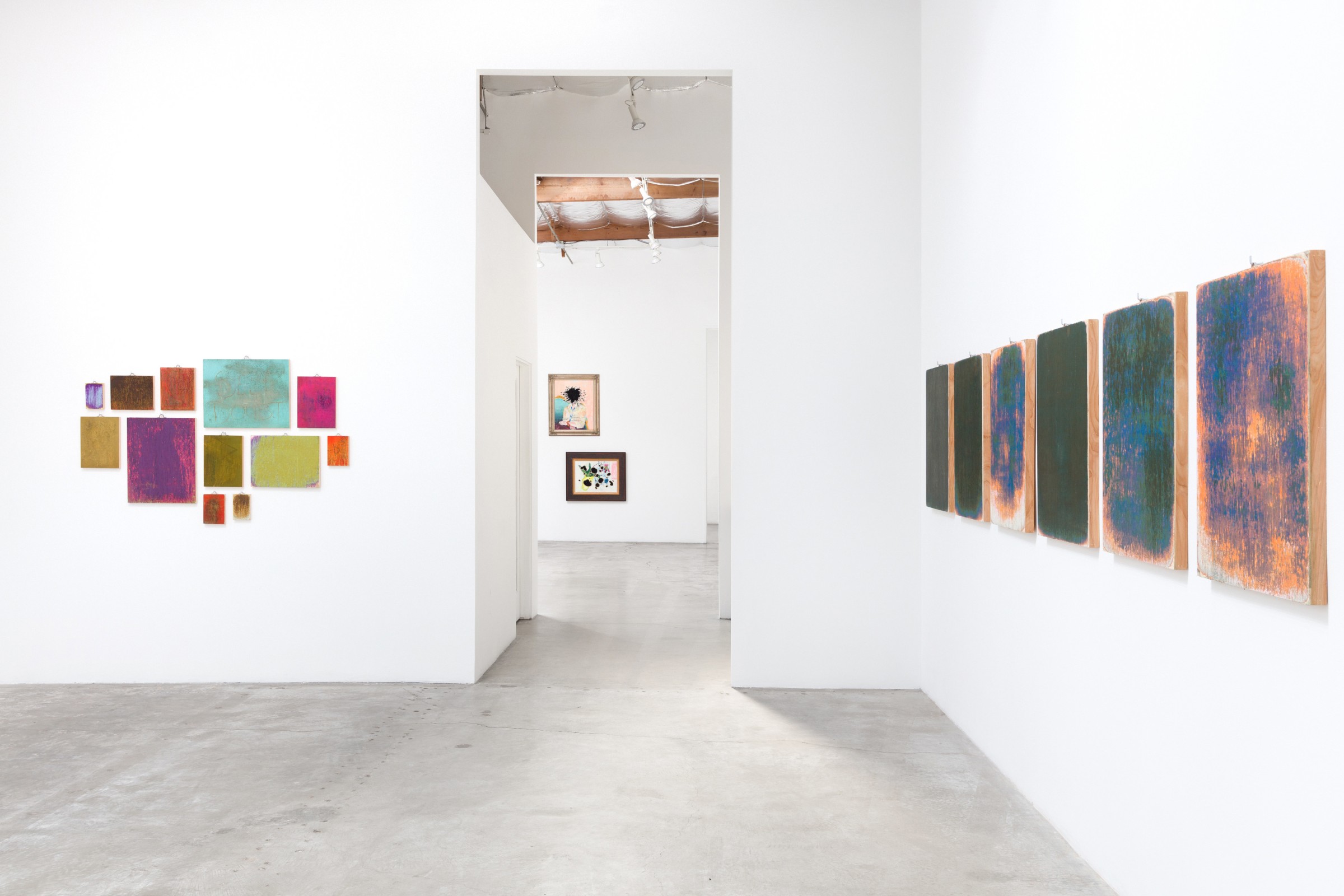Installation View of Margie Livingston: The Earth is a Brush