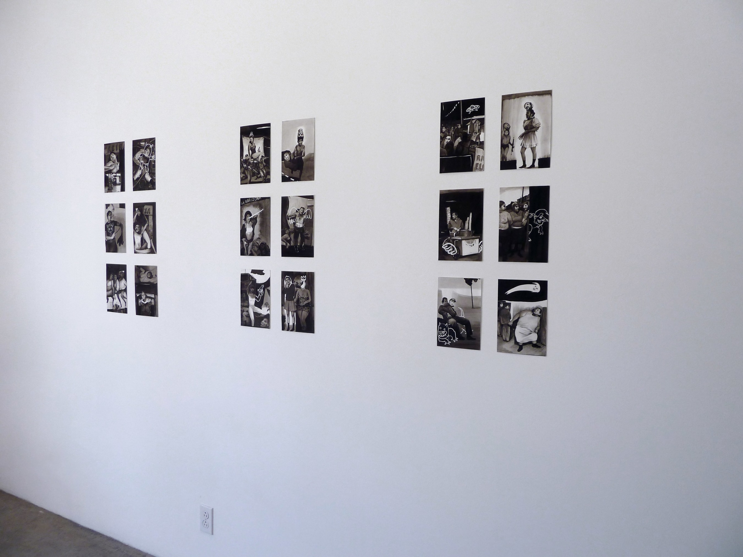 Installation View of Hugo Crosthwaite: Studies for Carpas