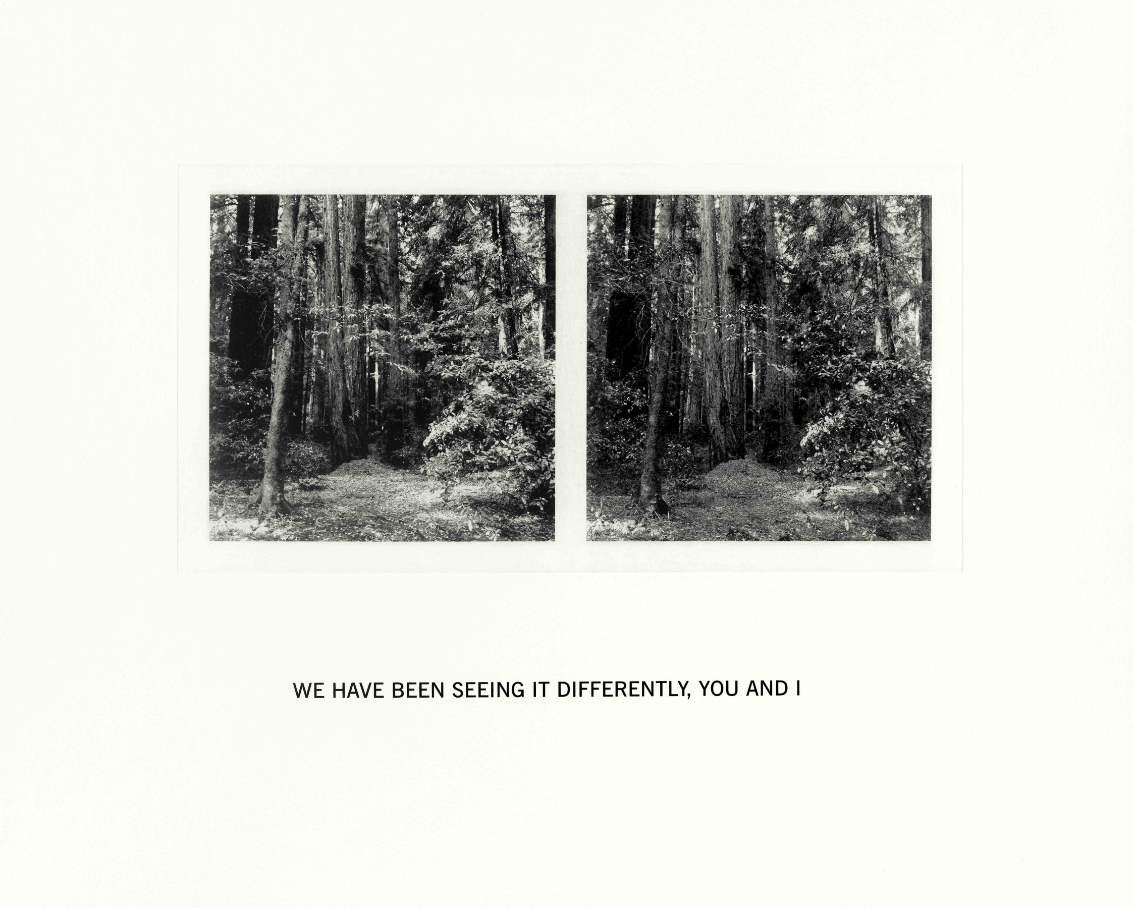 Susan Silton We Have Been Seeing It Differently, You and I, 2020