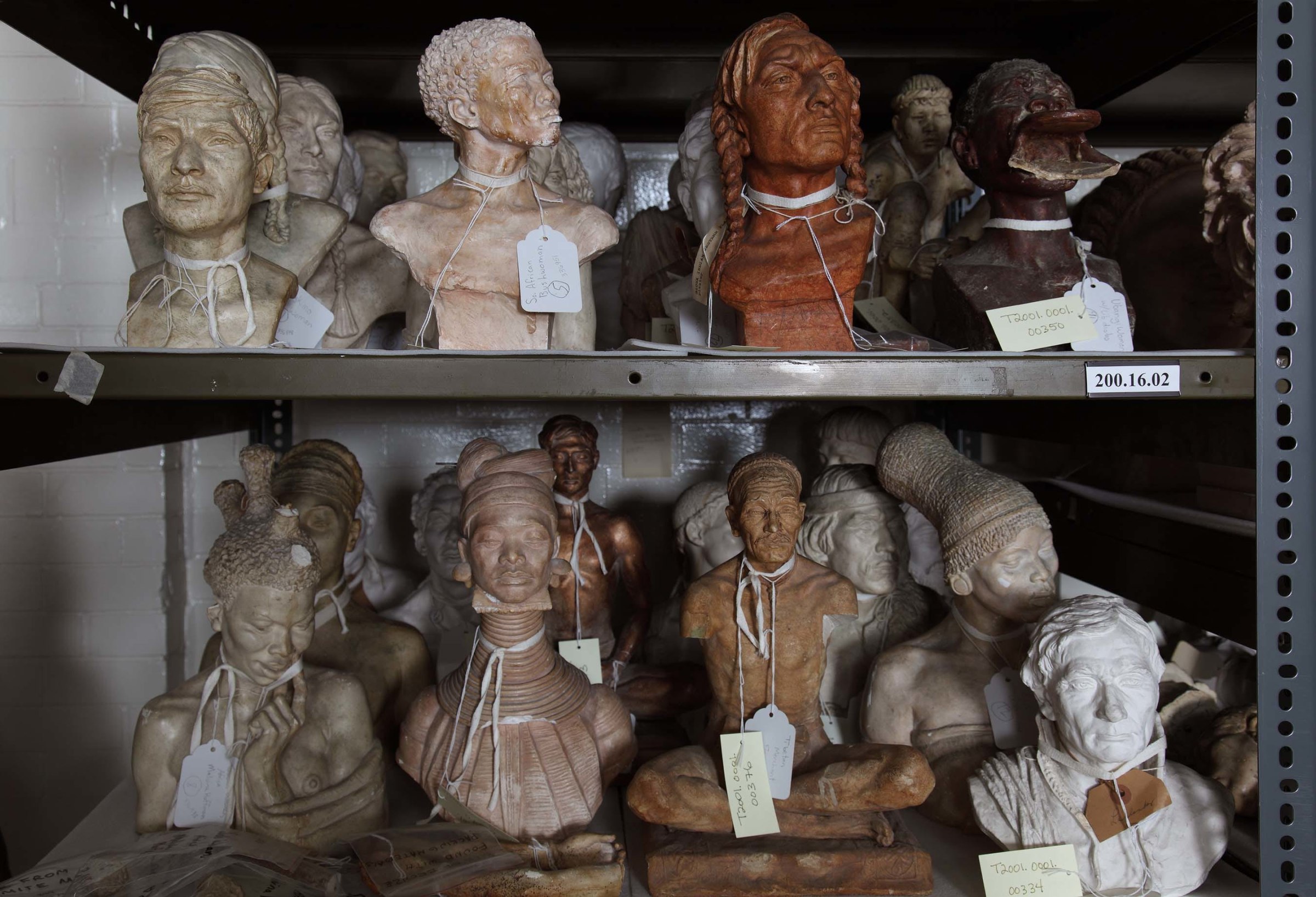 Ken Gonzales-Day Untitled (Malvina Hoffman Collection, [top:left to right] Mayan Man [336921]; South African Bushwoman [336951]; Asparoke Indian Man [336935]; Ubangi Woman [336943]; [bottom: left to right] Sudan Woman [336938]; Padaung Woman [336925]; Tibetan Merchant [336941A]; Zulu Woman [336945]; Lapp Man [336917], The Field Museum, Chicago, IL), 2009-2012 LightJet print on aluminum 20 x 28 in.