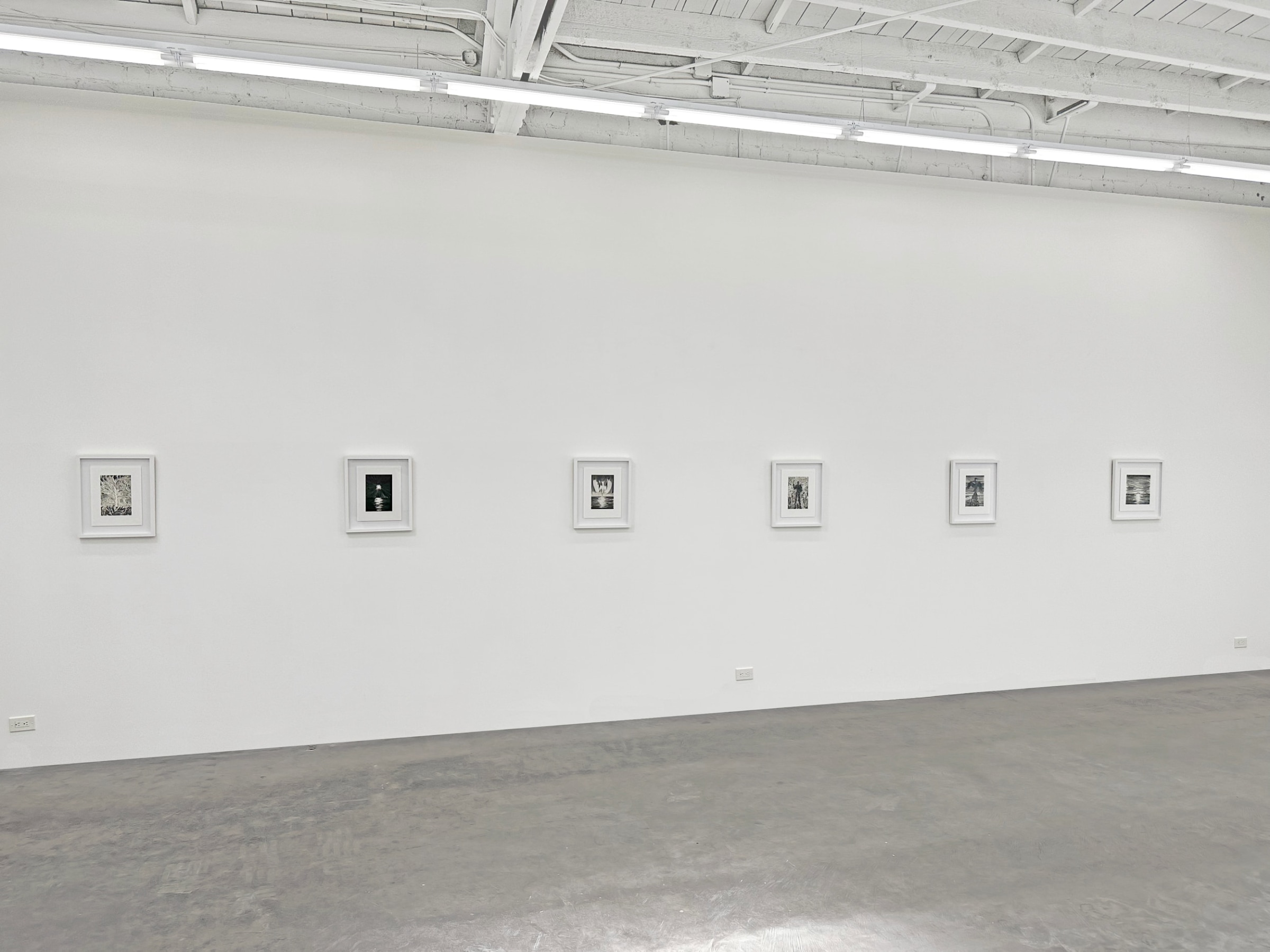 Installation view of ERIK OLSON: The Mountain and the Sea, on view June 17 - August 5, 2023