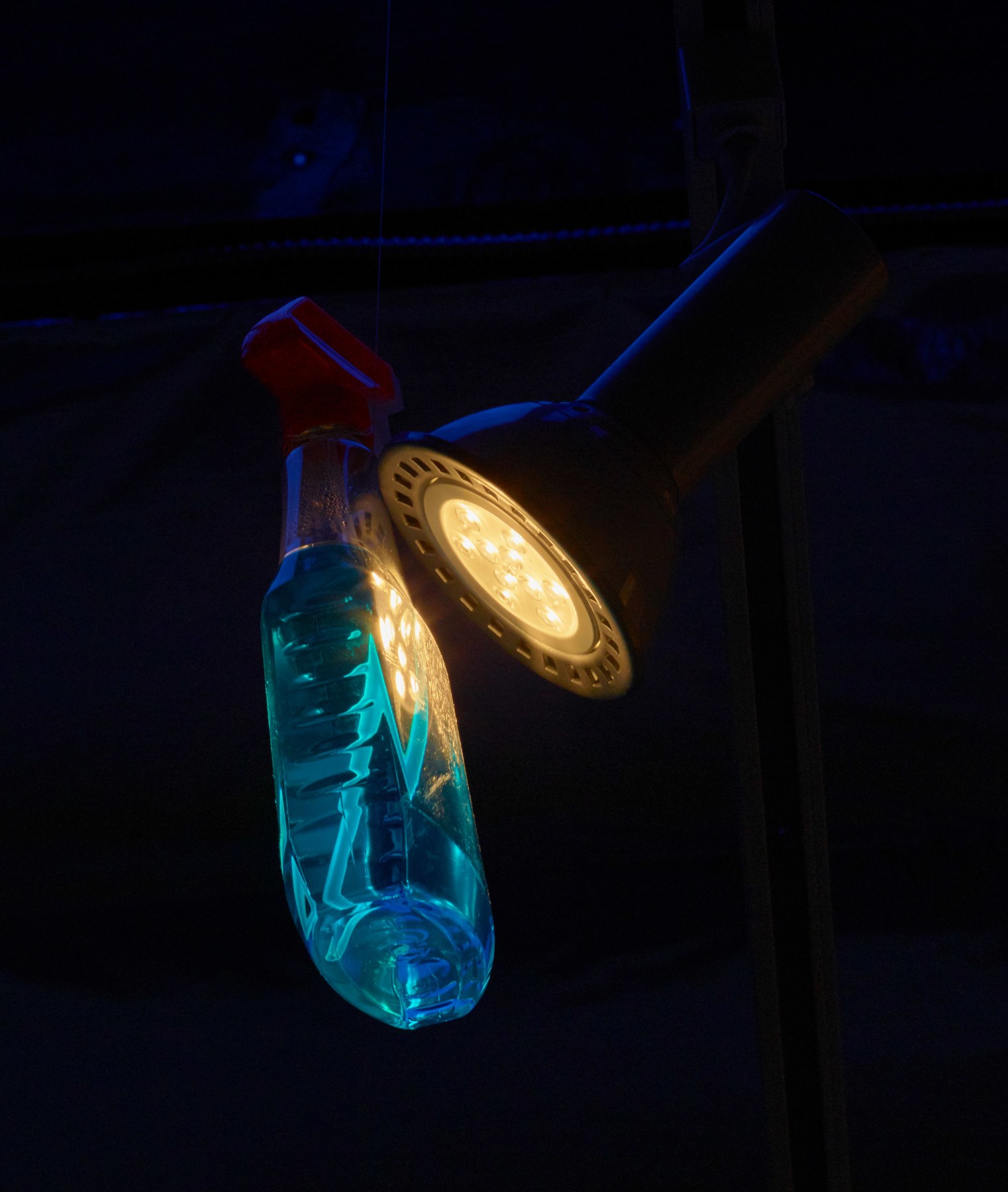 Installation View of Josh Reames and Jose Lerma: He Hath Founded It Upon The Seas Monument To Wilson and Kelling