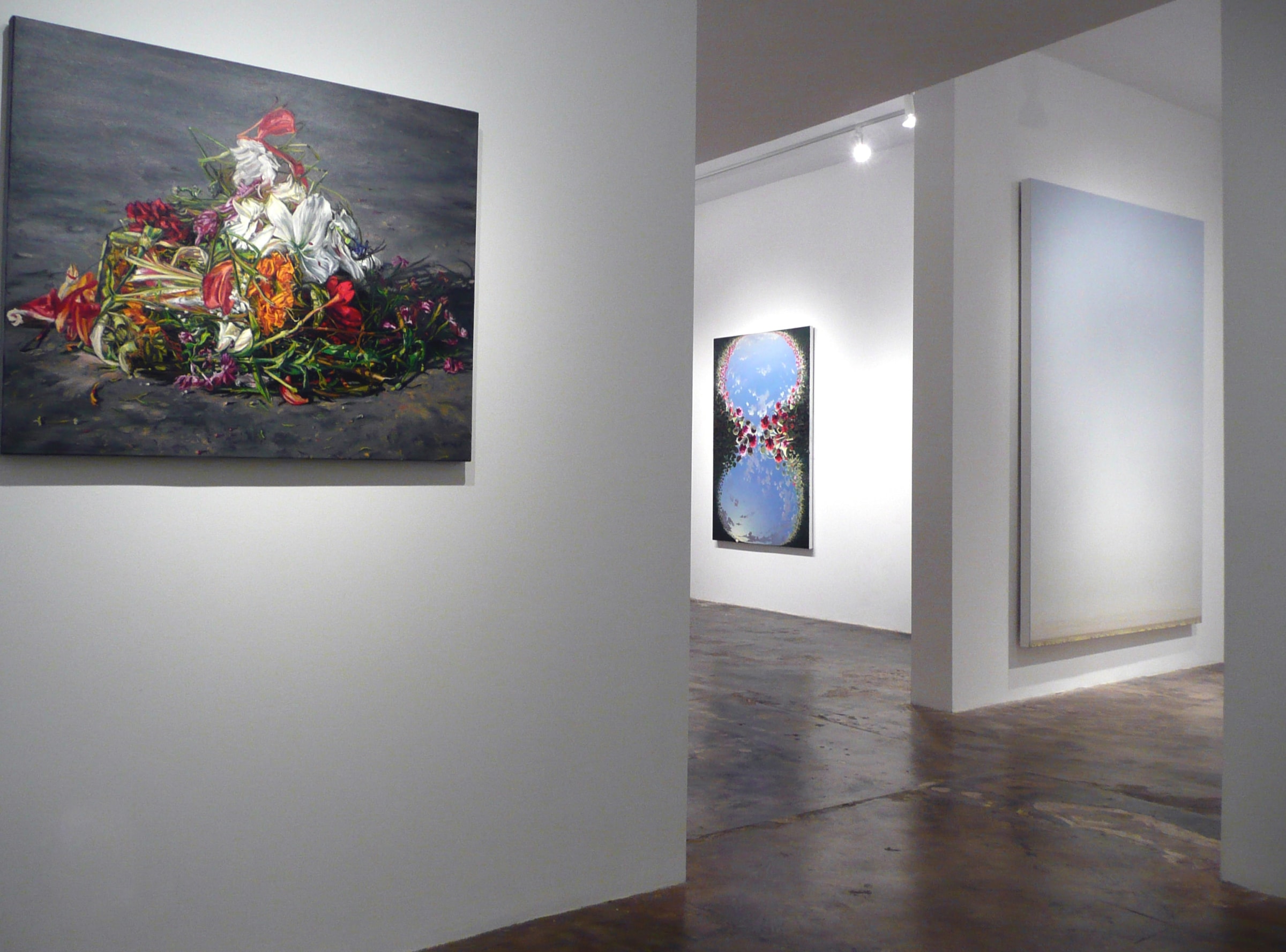 Installation View of Gail Roberts: Accumulations