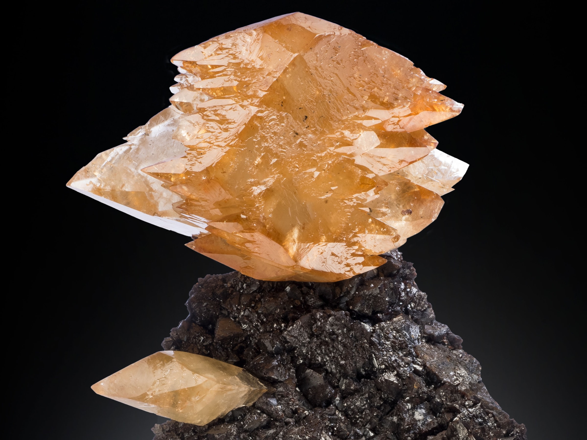 Calcite on Sphalerite Elmwood Mine