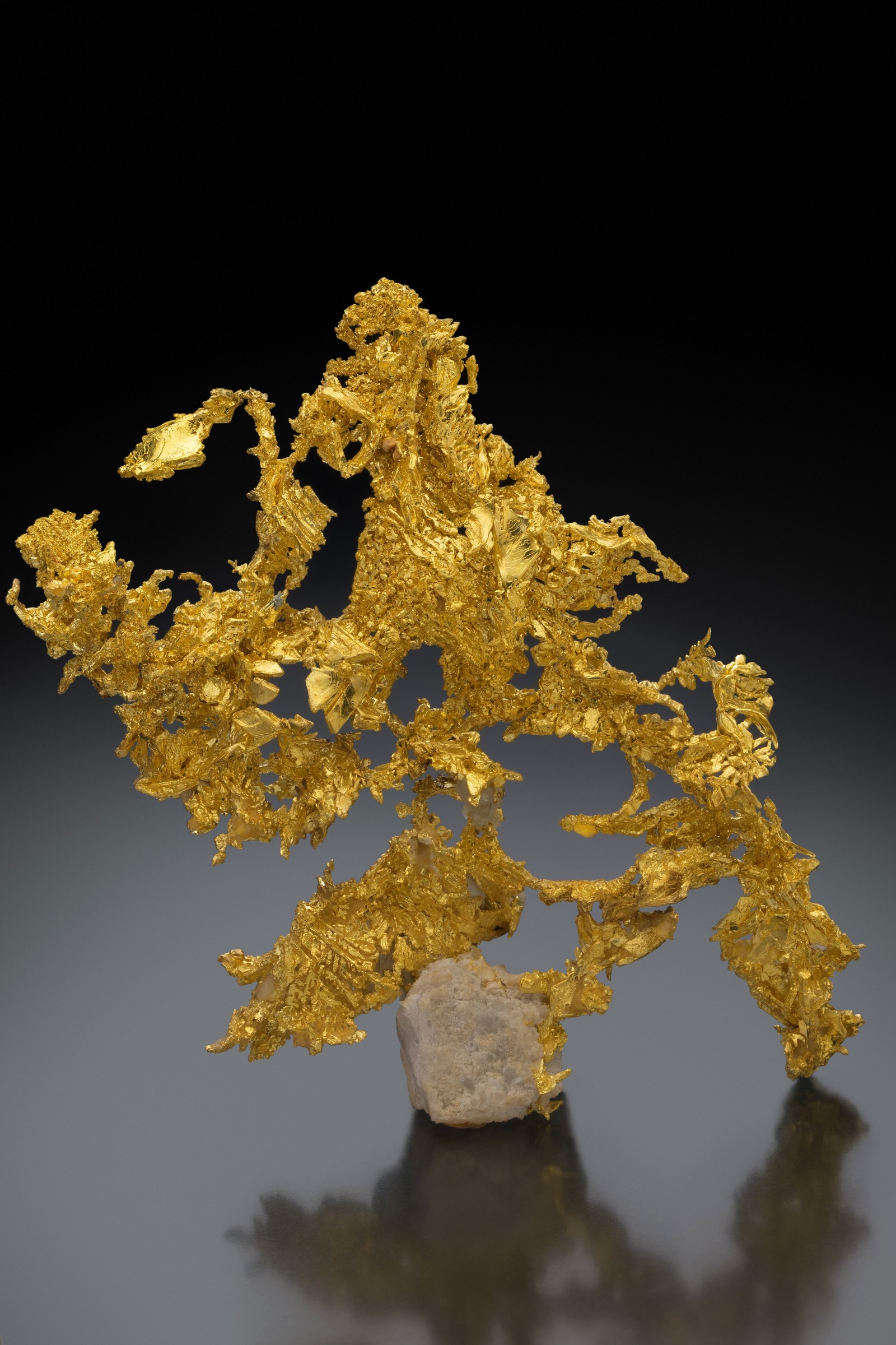 Gold, Eagle&amp;rsquo;s Nest Mine, Placer County, California, USA

Of all the world&amp;rsquo;s minerals, it is unlikely that any have quickened the pulse of humanity, or excited their sense of beauty, more than native gold. This specimen of crystalline gold from the iconic Eagle&amp;rsquo;s Nest Mine in California stands out not only for its astonishing degree of crystallization but for the aesthetic shape that nature wrought as it crystallized.