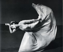 Motion captured: five of the best dance photographs
