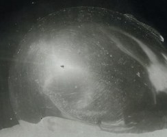 Brancusi: The Photographs