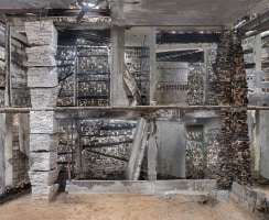 Artist brings beauty to war-damaged Gaza home