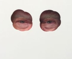A Record-Setting Man Ray and a Vandalized 'Trump l'oeil' Mark Paris Photo Week