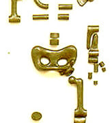 Skeleton