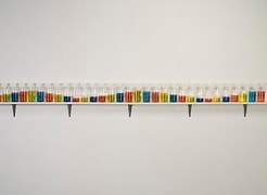 Alt="Tony Feher, (Singer of Many), 2008, 31 glass bottles with screw caps, water, food color and painted wood shelf"