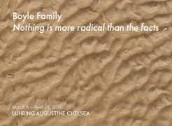 Boyle Family &quot;Nothing is more radical than the facts&quot; at Luhring Augustine Chelsea