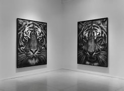 Robert Longo