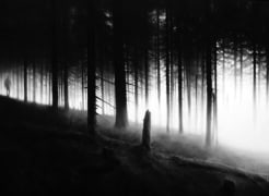 Robert Longo