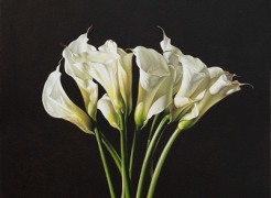 JOHN NAVA , Callas, 2025