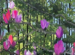 RUTH ELLEN HOAG , Tulip Tree in the Japanese Garden, 2025