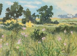 ROBIN GOWEN , More Mesa in Bloom, 2025