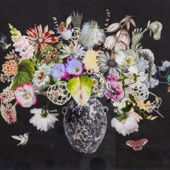 Jane Hammond