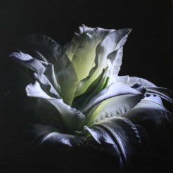 Linda Brazeau