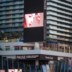 LAURIE SIMMONS: PAUSE
