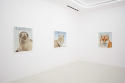 Sean Landers: Animal Portraits