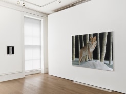 Sean Landers: Animal Portraits