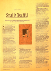 Small is Beautiful by Aasim Akhtar