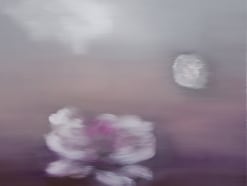 BRINTZ GALLERY, ROSS BLECKNER, Untitled (Black Monet Series), 2018, Oil on canvas, 30 by 30 inches, Flora, Unique Art