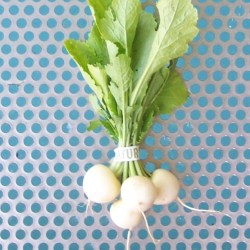 Baby White Turnips