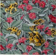 Alain Vaes 'Untitled (Frogs and Flowers),' 2009