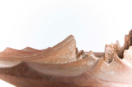 Annie Fourmanoir's ceramic bowl detailed view of edges