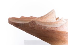 Annie Fourmanoir's ceramic bowl detailed view of edge