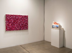 , Art Basel Miami Beach 2014 Installation view