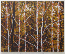 , WILLIAM MONK, Paravent (Universum), 2014 Oil on canvas 90 1/2 x 110 3/16 in.