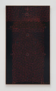 LEE MULLICAN&nbsp;Points of Vision1977Alkyd and oil on canvas&nbsp;50 x 28 in.127 x 71.1 cmJCG9445