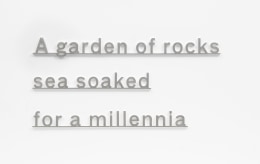 KATIE PATERSON Ideas (A garden of rocks sea soaked for a millennia)