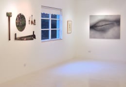 Betty Tompkins solo exhibition, GAVLAK Palm Beach