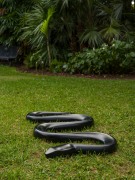 Katharina Fritsch, Schlange (Snake), 2008.&nbsp;Exhibition view: The Divine Feminine,&nbsp;Ann Norton Sculpture Gardens, Florida. Photo: Oriol Tarridas