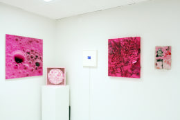 Installation view, Think Pink, 2010