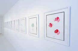 Aleksandra Mir &amp; Andy Warhol: &quot;The Meaning of Flowers&quot; &amp; &quot;Wild Raspberries&quot;