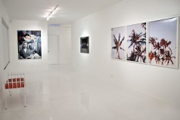 Installation view &quot;The Palm Beach Beach Story, or Whatever Happened to Baby Jane&quot;