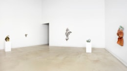 Beyond Boundaries: The Multidimensional Art of Lynda Benglis